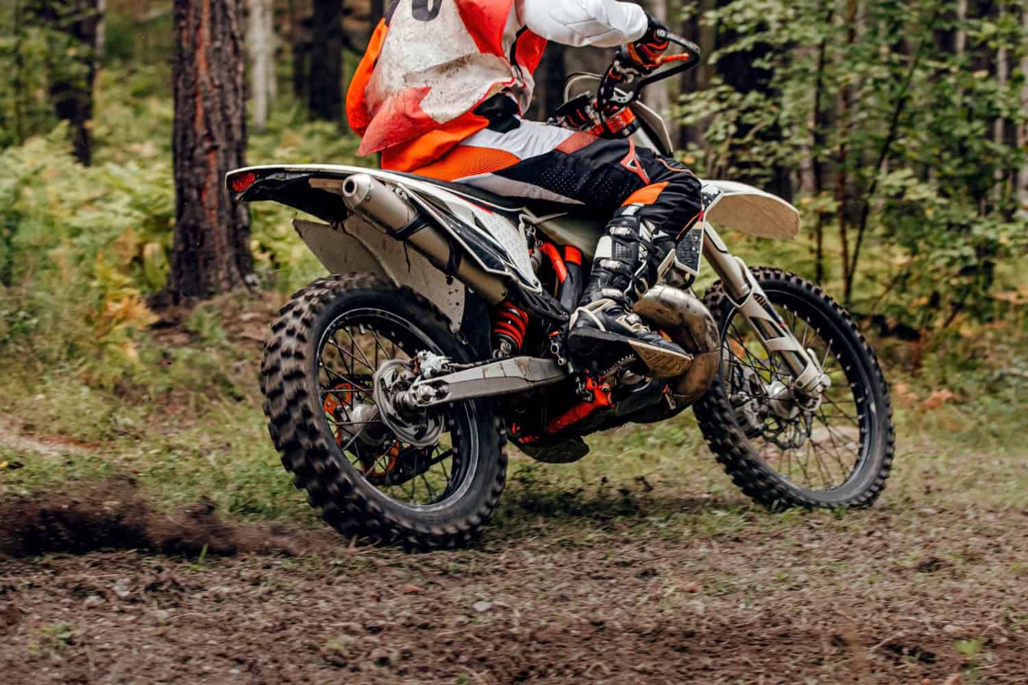 Care sunt cele mai populare modele adventure în 2026, potrivite pentru touring și off-road? 6 modele dintre care poți alege