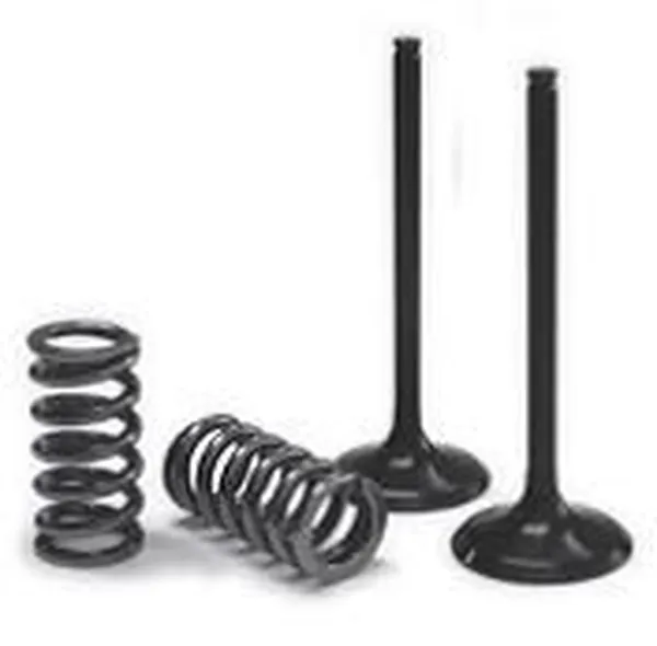 Valve & Spring Kit Black-0
