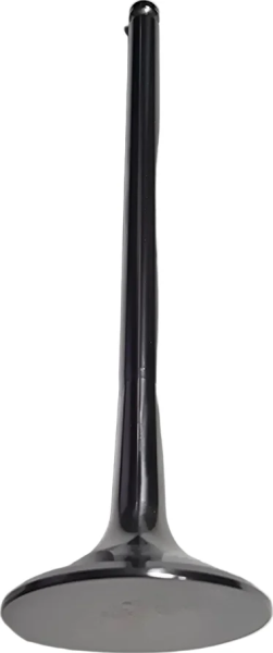 EXHAUST VALVE, 1, nordicamoto.ro