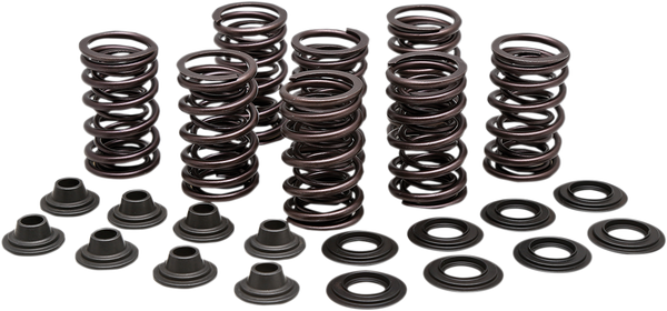Valve Spring Kit, 1, nordicamoto.ro
