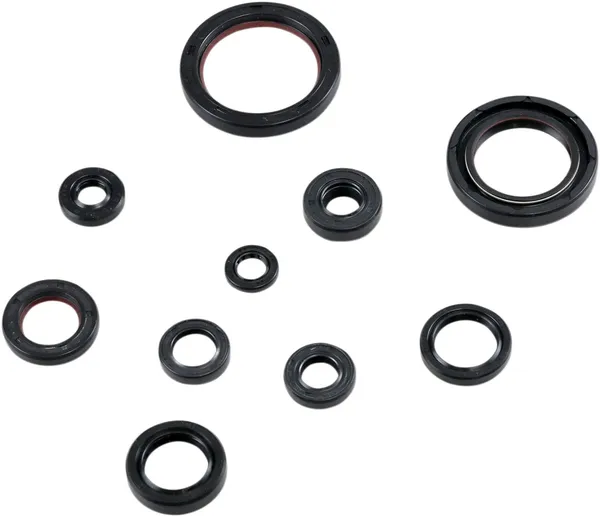 MOOSE RACING Oil Seal Kit -0