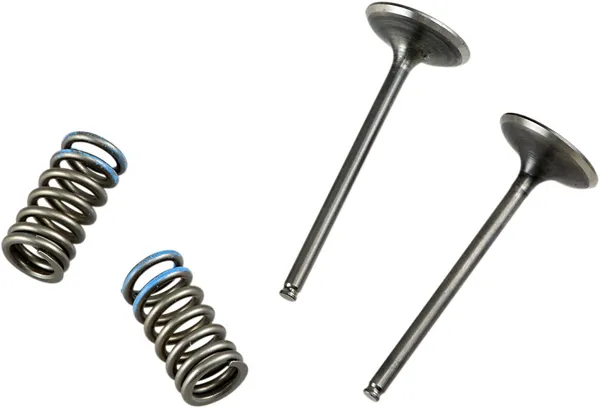 Valve And Spring Kit-084b766a60cd85b061769b5fd53c6937.webp