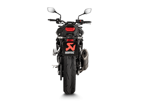 Slip-on Line Muffler Titanium Look -2