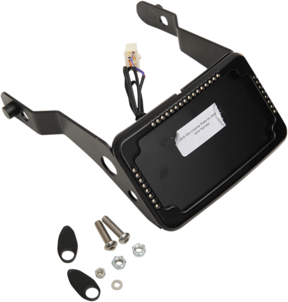 Curved License Plate Frame And Mount With License Plate Light Chrome, 3, nordicamoto.ro