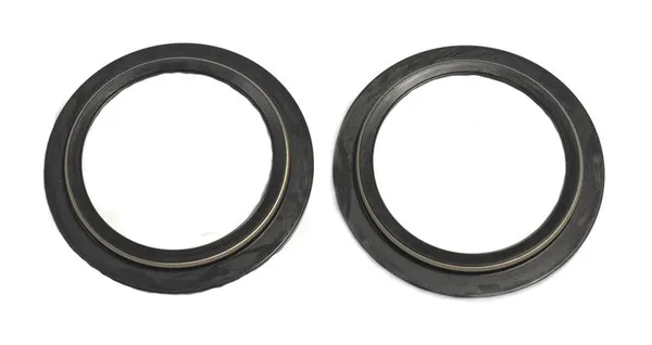 Dust Seals-1