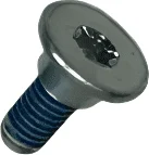 SCREW F. EXPANSION TANK