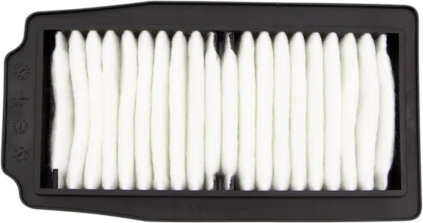 Oe Replacement Air Filter Black, White