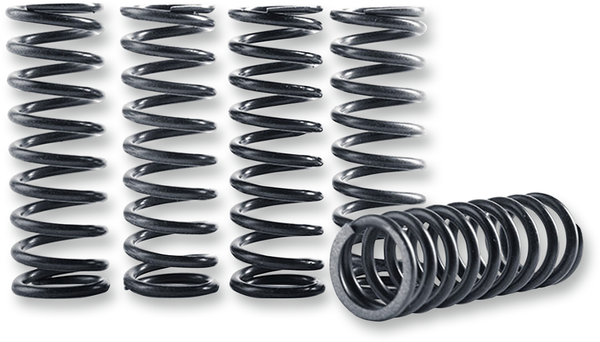 Hi-temp Clutch Spring Kit Steel, 1, nordicamoto.ro