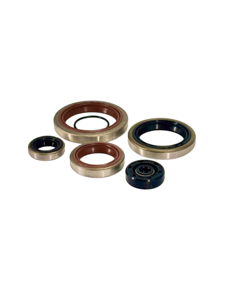 Set simeringuri motor Beta RR 250/300 2T '18-'26/ Xtrainer '15-'26 Enduro Expert, 4, nordicamoto.ro