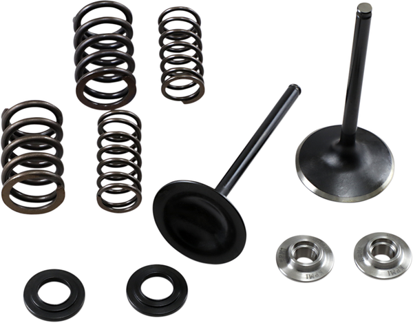 Stainless Steel Conversion Valve And Spring Kit, 1, nordicamoto.ro