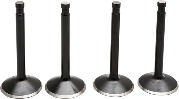 Engine Valve Kit, 1, nordicamoto.ro