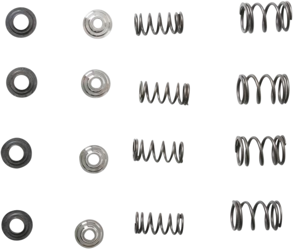 Valve Spring Kit, 1, nordicamoto.ro