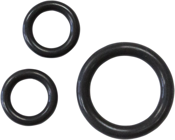 Oil Pump O-ring Kit, 1, nordicamoto.ro