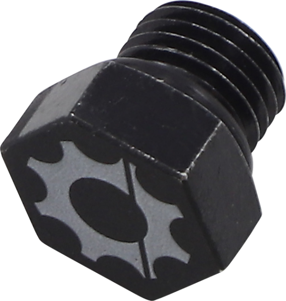 Rear Main Gear Case Drain Plug, 1, nordicamoto.ro