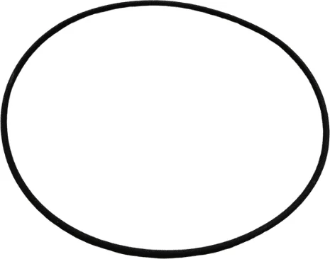 O-RING  74,00X1,50 FKM 75SH