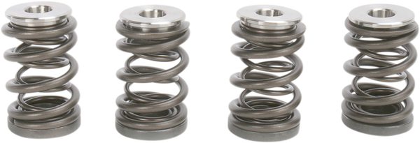 Valve Spring Kit, 1, nordicamoto.ro
