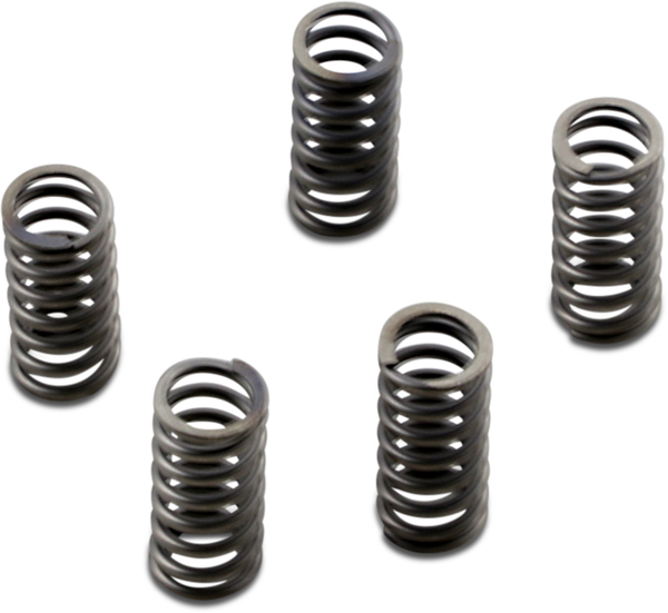 Csk Series Heavy Duty Clutch Spring Kit, 2, nordicamoto.ro
