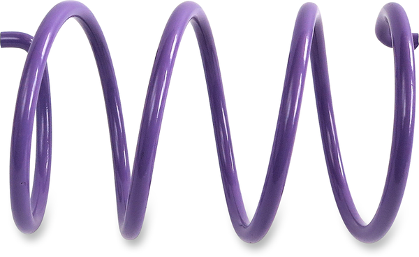 Secondary Clutch Spring Purple, 1, nordicamoto.ro