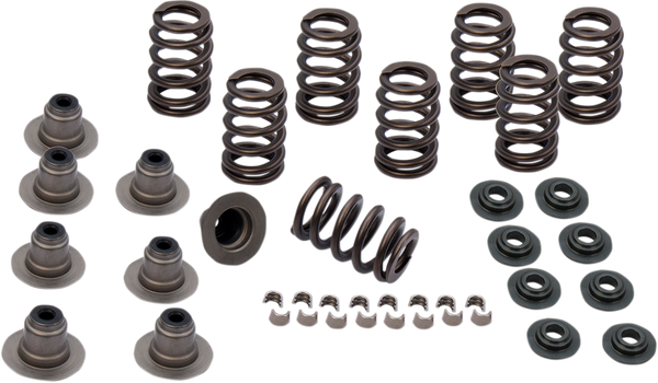 Valve Spring Kit, 2, nordicamoto.ro