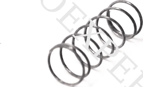 ADJ. SPRING - EXHAUST CONTROL, 3, nordicamoto.ro