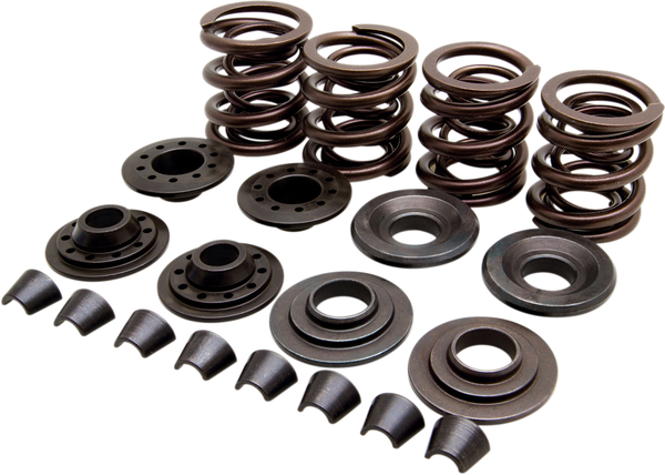 Complete Valve Spring Kit, 1, nordicamoto.ro