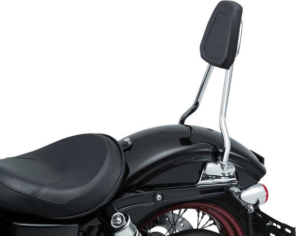Sissy Bar Harley Davidson Black, Silver, 2, nordicamoto.ro