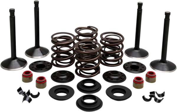 Engine Kit, 1, nordicamoto.ro