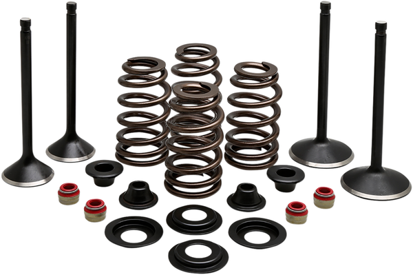 Engine Kit, 1, nordicamoto.ro