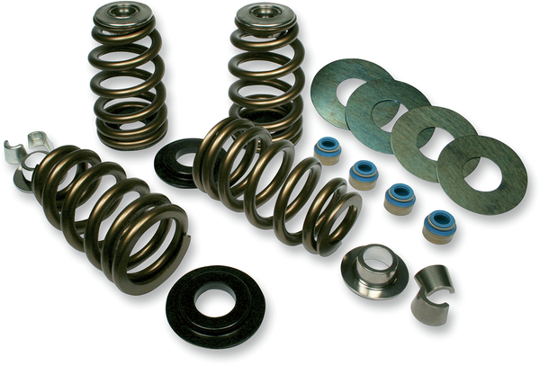 Valve Springs For Twin Cam Screamin Eagle Heads, 1, nordicamoto.ro