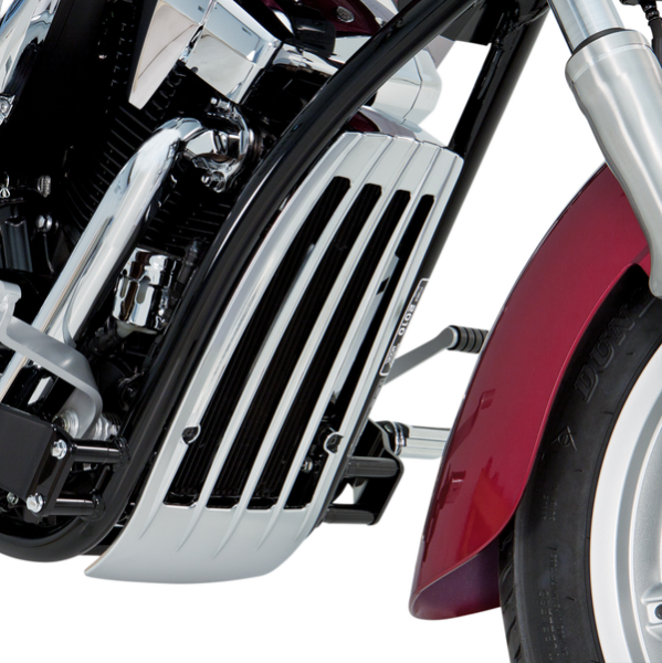 Radiator Grille Chrome, 2, nordicamoto.ro
