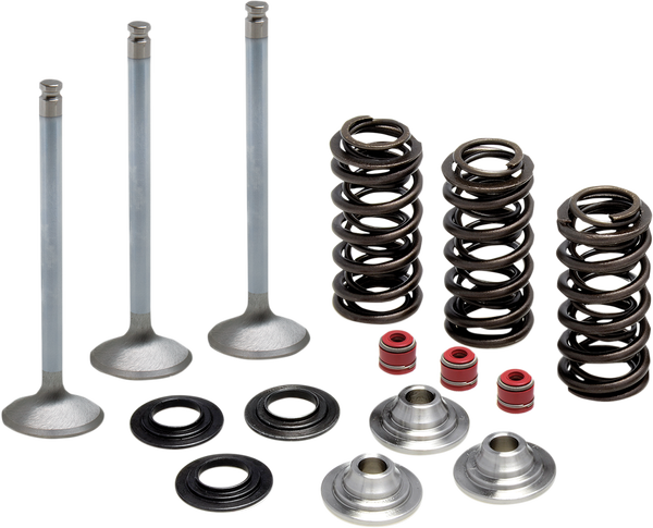 Stainless Steel Conversion Valve And Spring Kit, 1, nordicamoto.ro