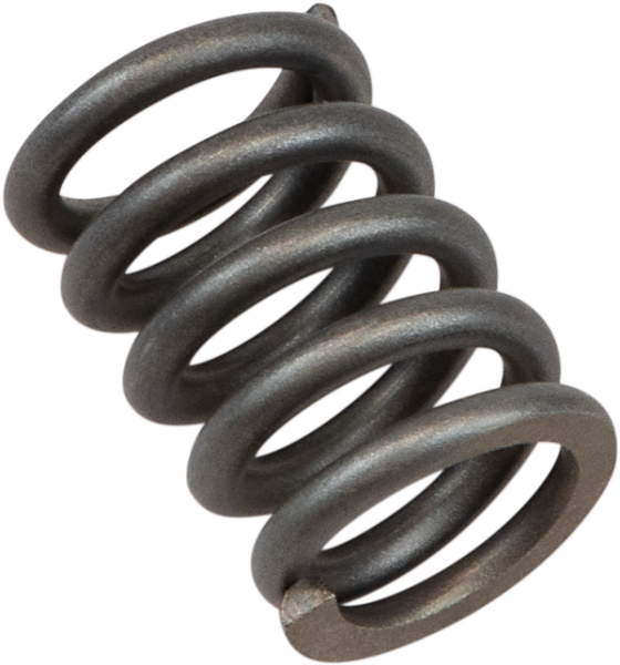 High-speed Compression Damping Adjuster Spring Silver, 1, nordicamoto.ro