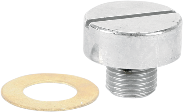 Oem-style Oil Pump Plug Chrome, 2, nordicamoto.ro