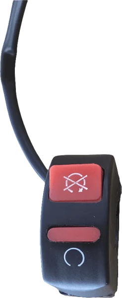 FLASHER SWITCH CEV         '98