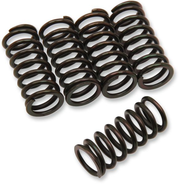 Clutch Spring Kit Black, 1, nordicamoto.ro