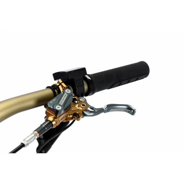 Fantic XEF 1.9 Factory-2