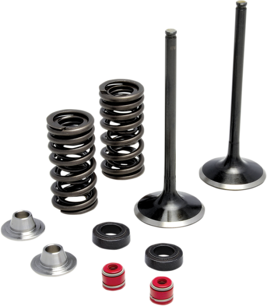 Stainless Steel Conversion Valve And Spring Kit, 1, nordicamoto.ro
