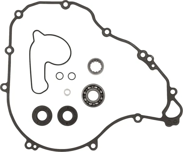 Water Pump Rebuild Kit