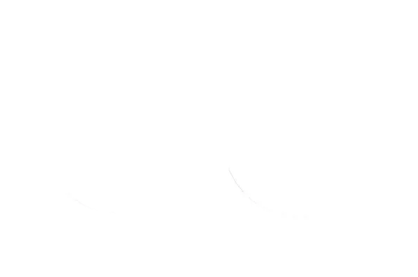 Fork Oil Seals Black