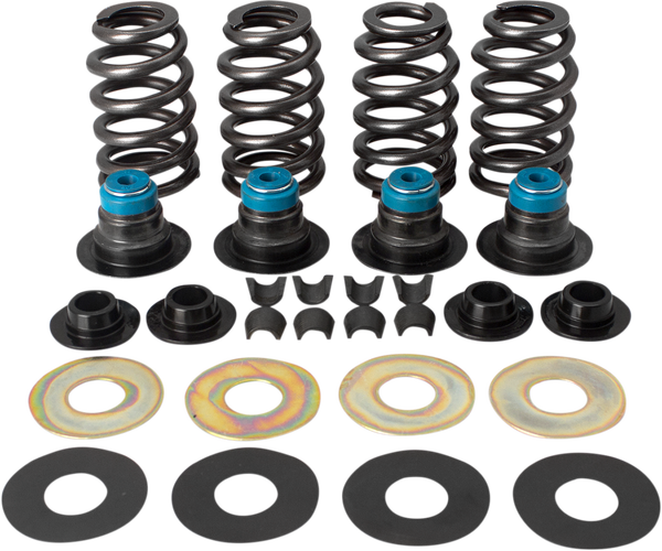 Valve Spring Kit, 1, nordicamoto.ro