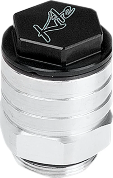 Rear Brake  Oil Tanks Black, Silver-298a1f1d77c56e7ed04769eed07a6ff2.webp