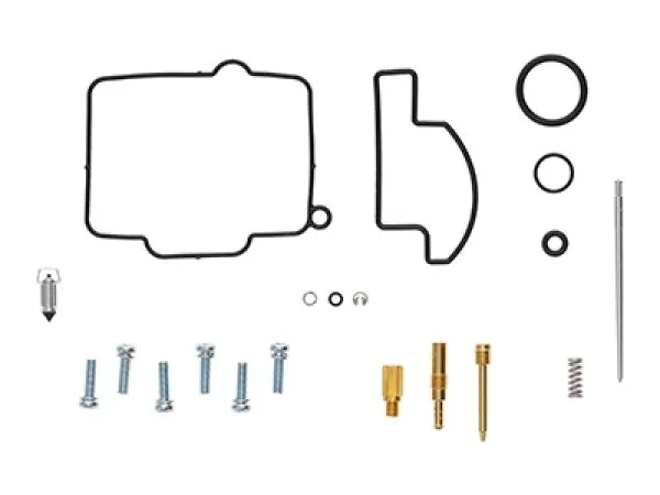 Carburator Rebuild Kit -1