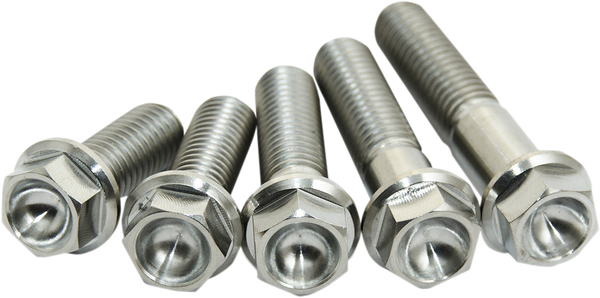 Titanium Screws Unfinished-2a63f39836a3badc93ad9941b804fff2.webp