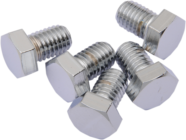 Replacement Hex-head Bolts Silver, 1, nordicamoto.ro