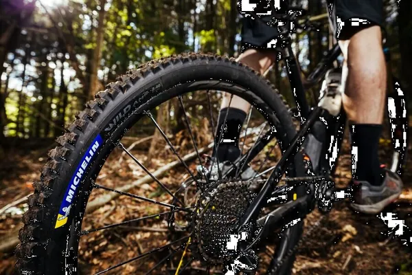 Mtb Wild Am2 Competition Line Tire Black -1