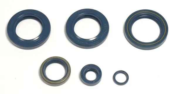 Garnitură de ulei pentru motor, 1, nordicamoto.ro