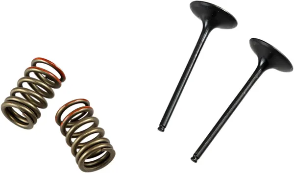 Valve And Spring Kit-1