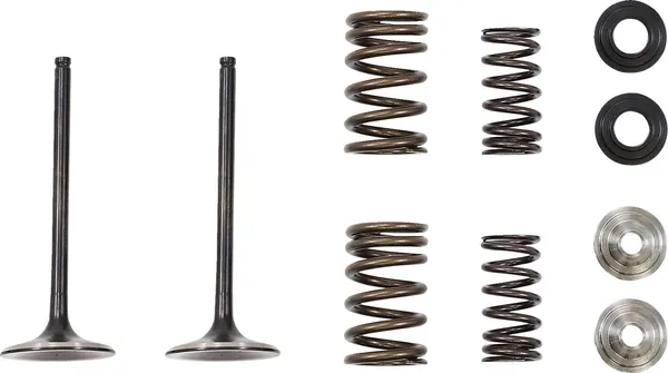 MOOSE RACING Intake Valve -0