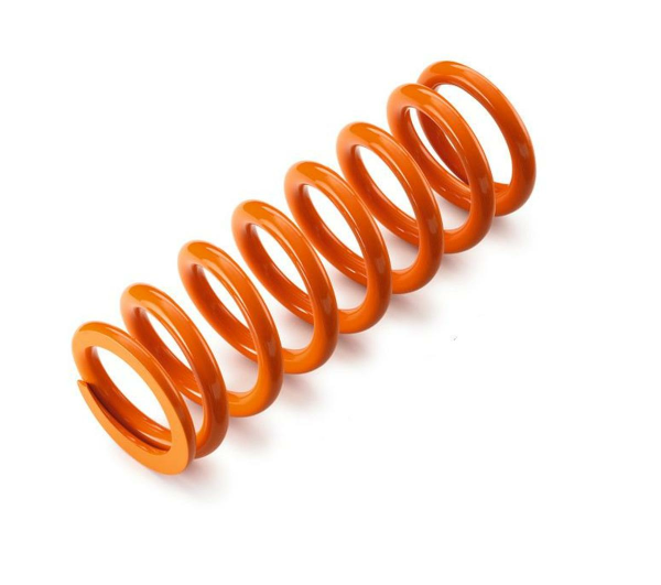 MAIN SPRING ADV. EDS