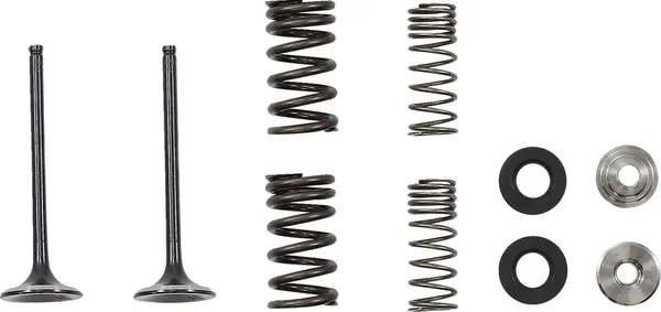 MOOSE RACING Exhaust Valve -0